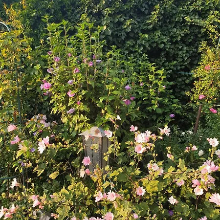 Gartenblick